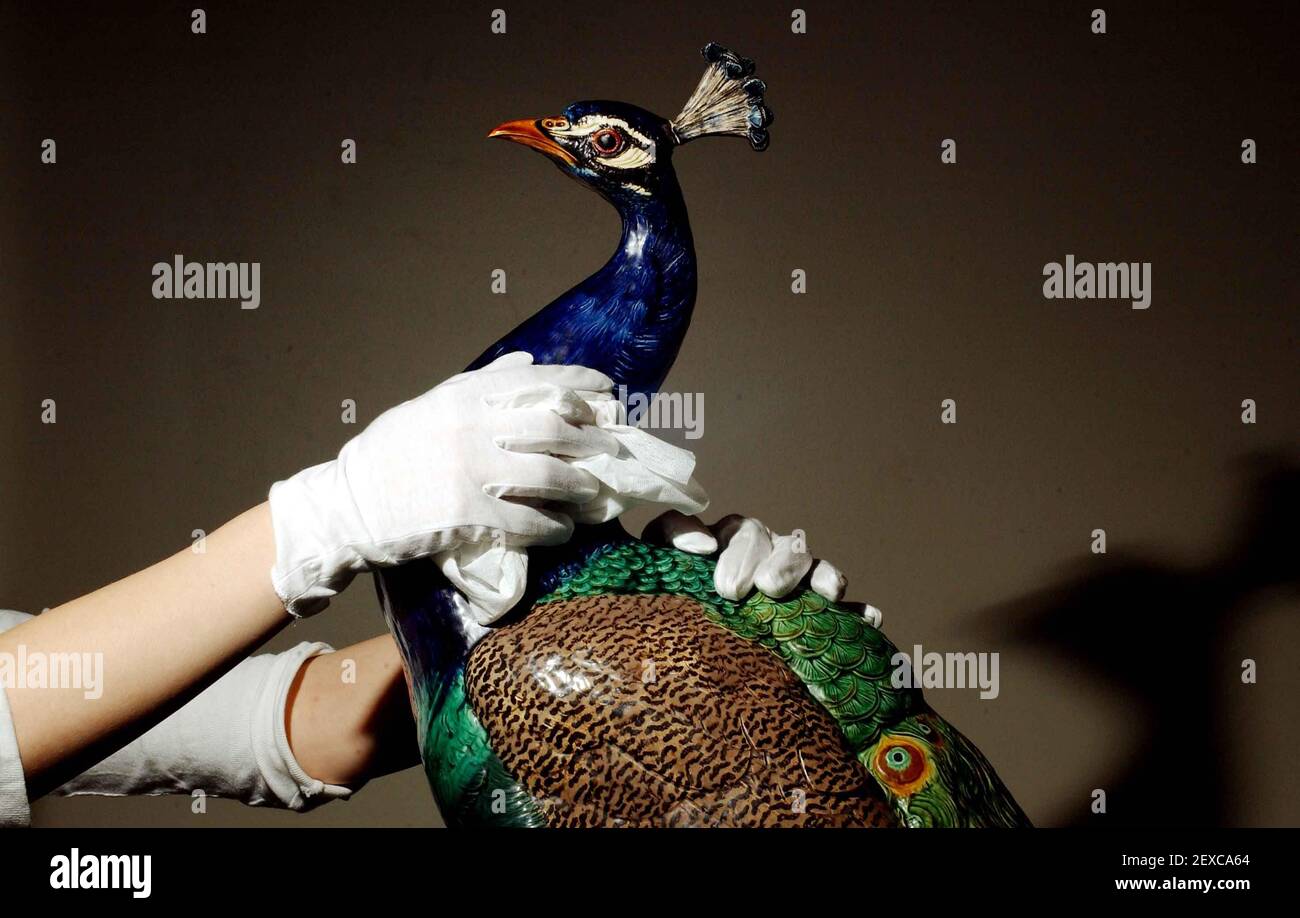 'Peacock' by sculptor Minton Majolica. Star lot in Minton Museum, collection sale at Bonhams Auctioneers to be sold in the Summer-date and price estimate to be confirmed.21 March 2002 photo Andy Paradise Stock Photo
