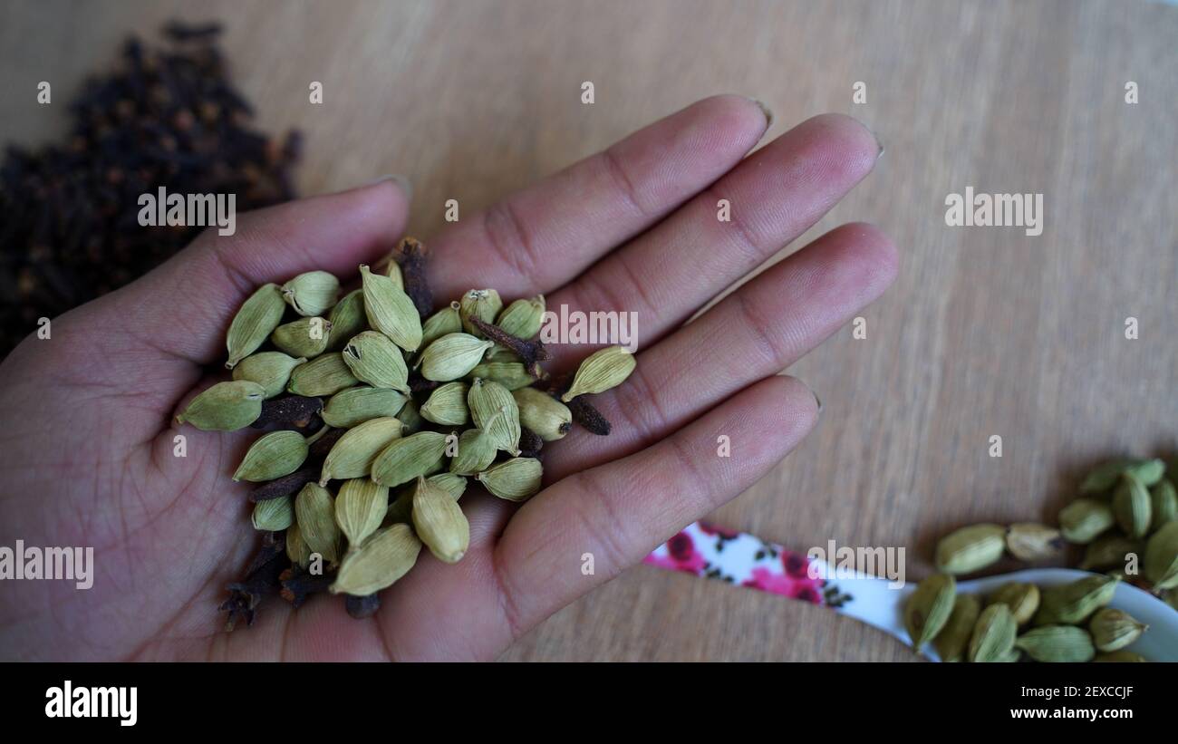 A man holding cardamom pods and cloves in his palm. Indian organic spices on Kitchen background. Indian veg spice Stock Photo