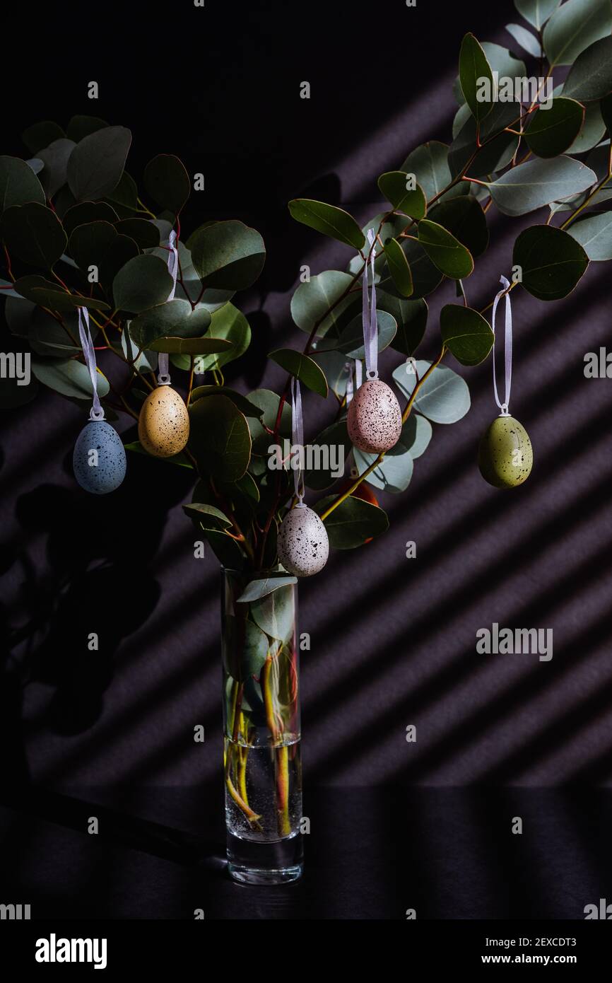 Eucalyptus Branches decorated with Easter eggs in vase Stock Photo