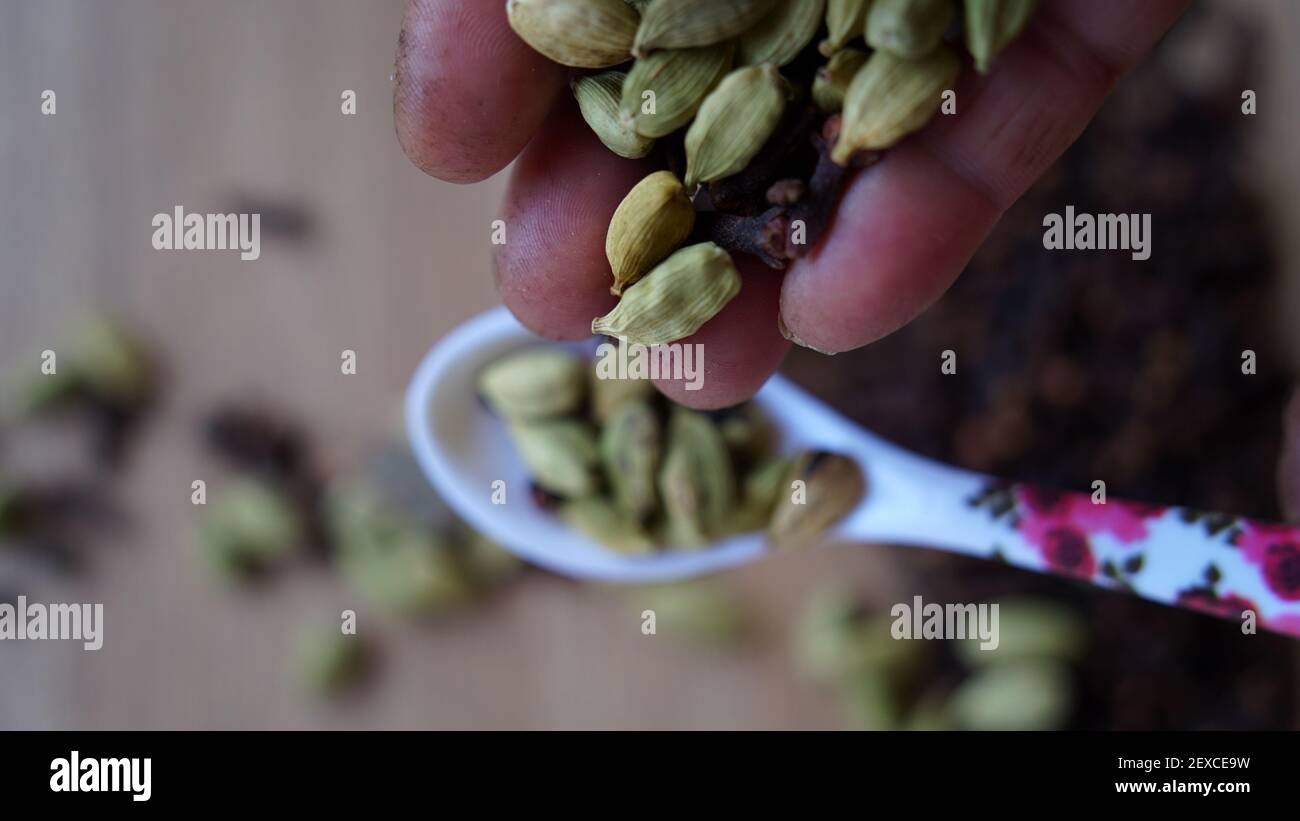 Female is putting green cardamom pods in a spoon. Dry cloves, cardamoms and spicy spices background. Veg Recipes Stock Photo