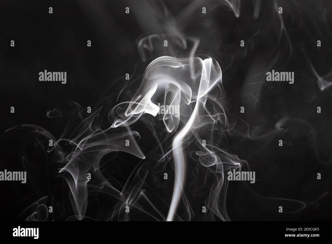 smoke forming figures in a black background Stock Photo