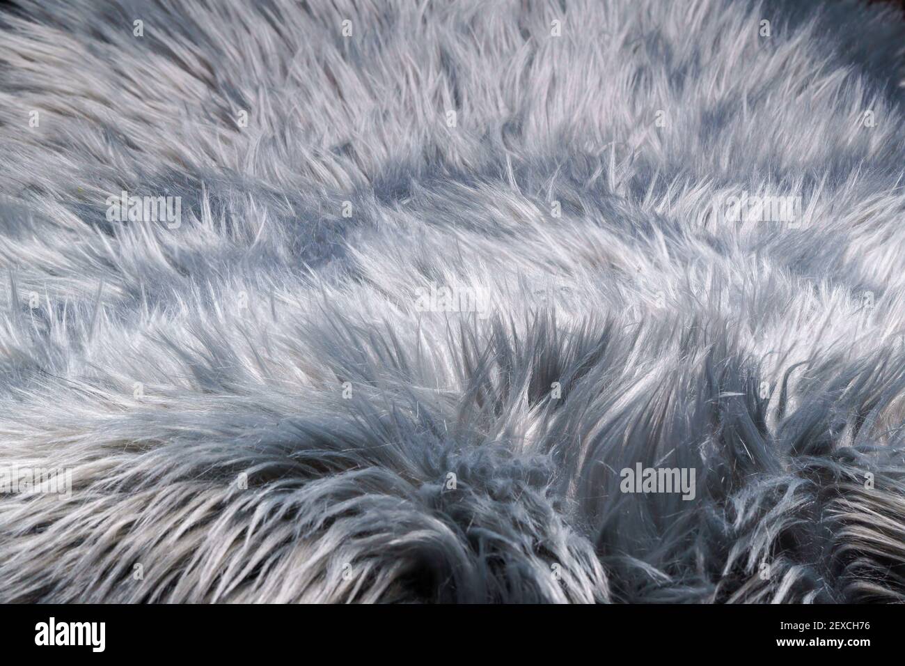 A fur-like silver gray carpet structure, close-up Stock Photo