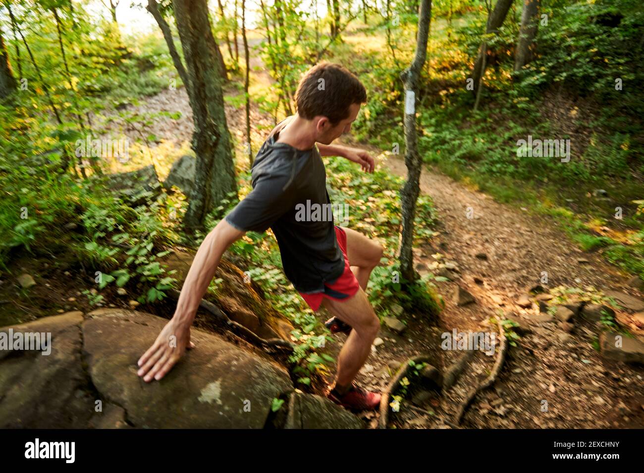 Adult male trail runner on a mountain ridge at golden hour Stock Photo