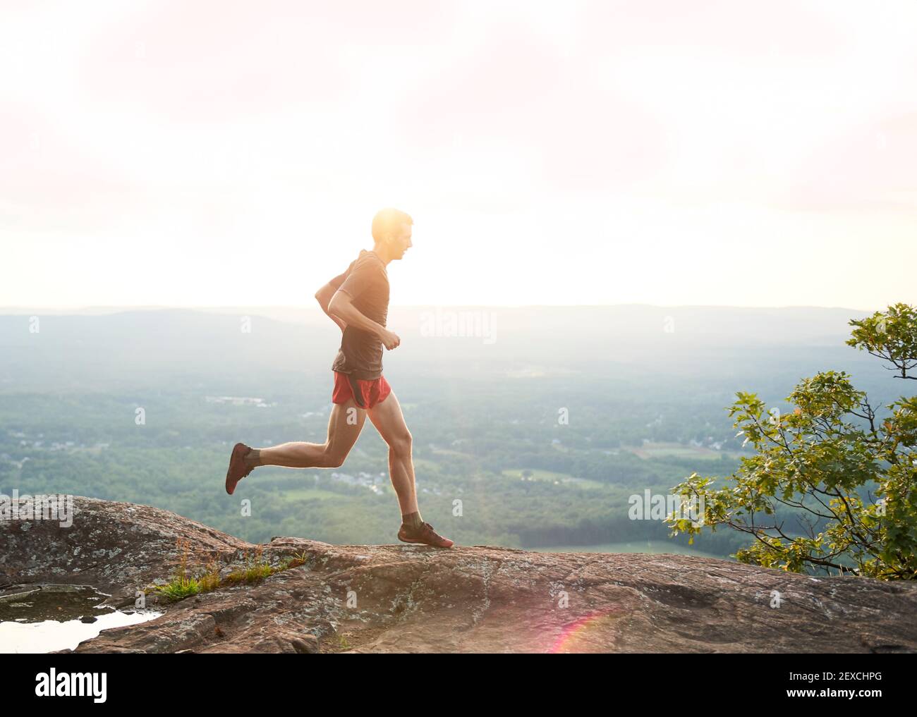Adult male trail runner on a mountain ridge at sunset Stock Photo