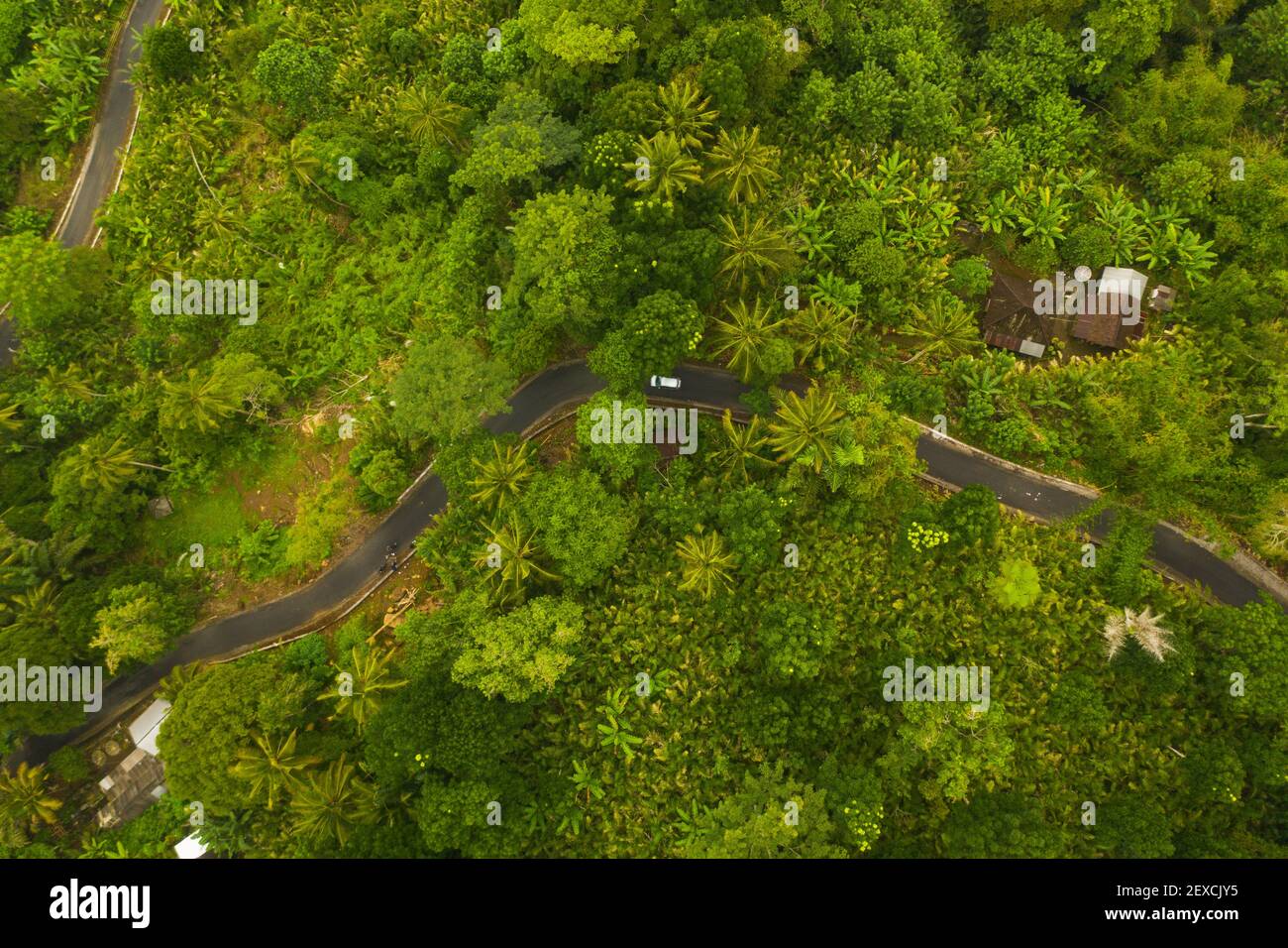Top down overhead aerial view of a car driving on the asphalt road through lush green jungle Car on the road passing rural house in the rainforest in Bali, Indonesia Stock Photo