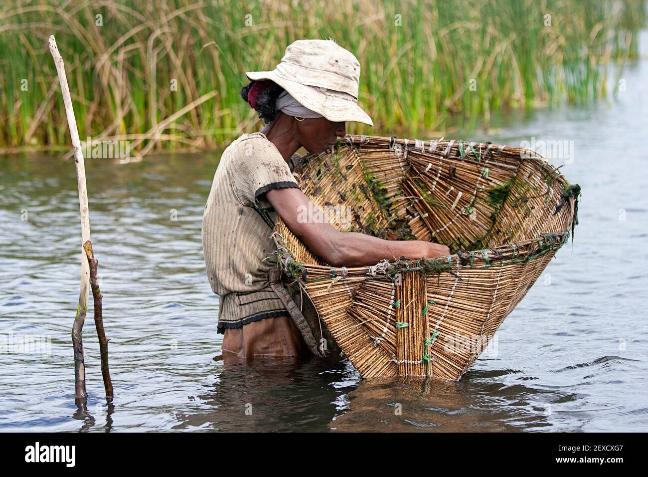 Woman fishing with a traditional woven basket, wooden fishing equipment,  Maroansetra, Madagascar Stock Photo - Alamy