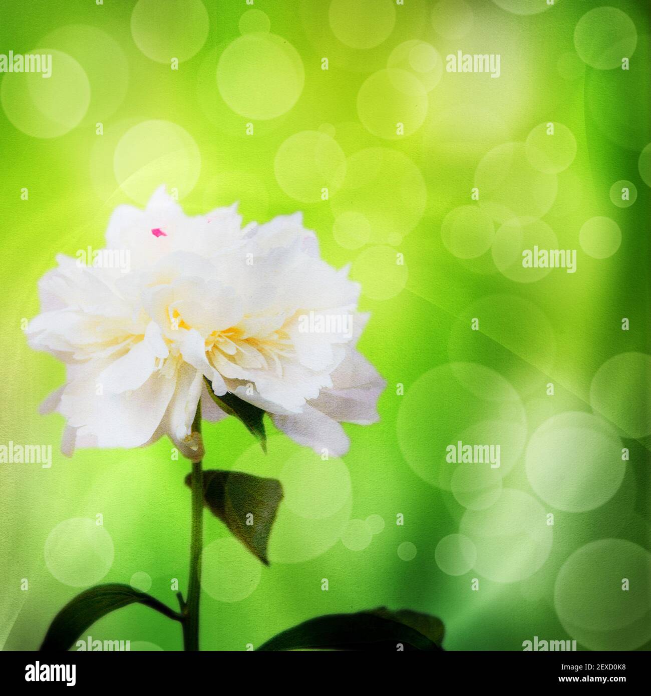 Grunge paper texture. abstract nature background Stock Photo - Alamy