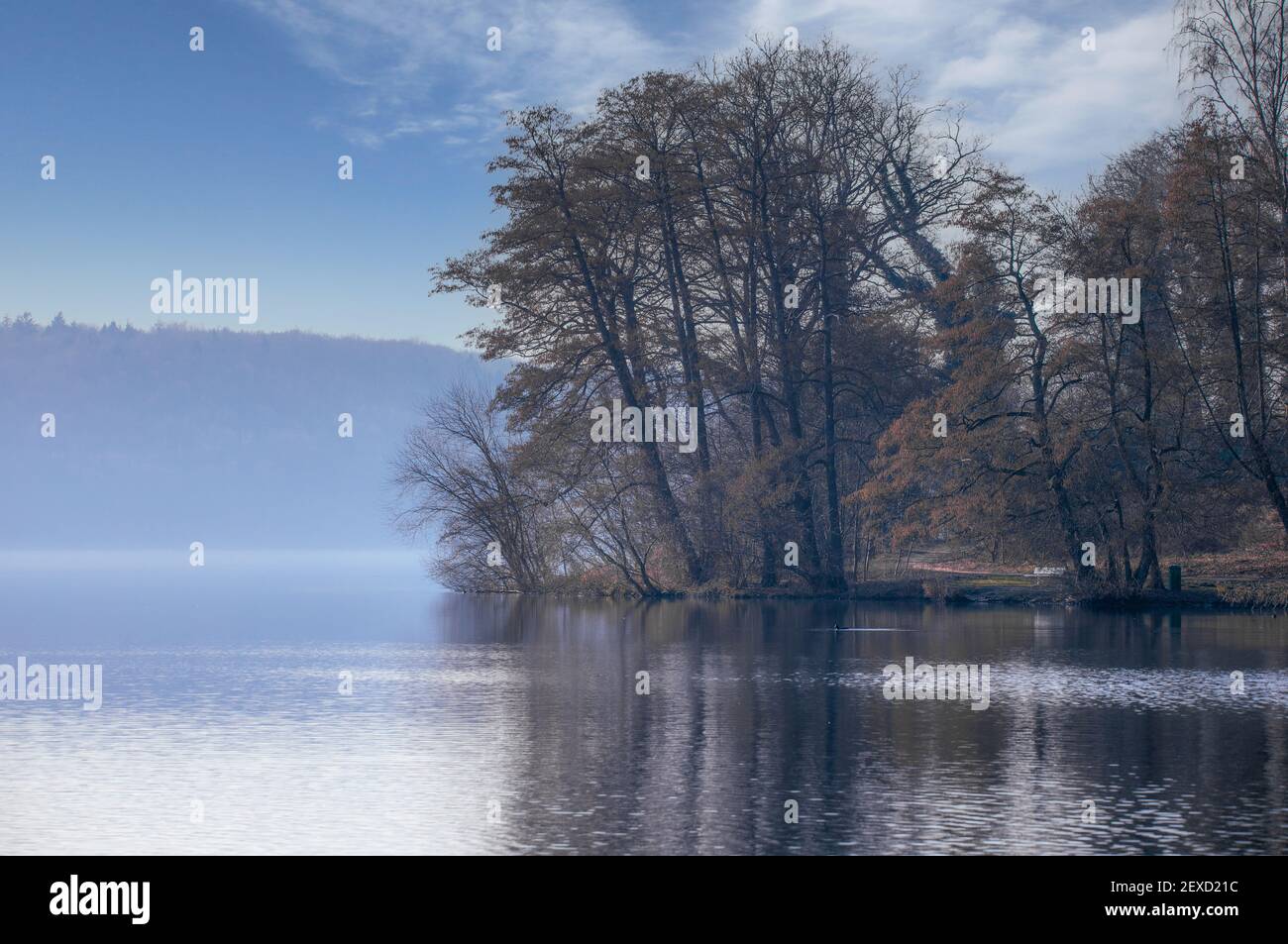 The Dieksee in Malente in winter fog. The wet cold weather hardly bothered with this magical mood. Stock Photo
