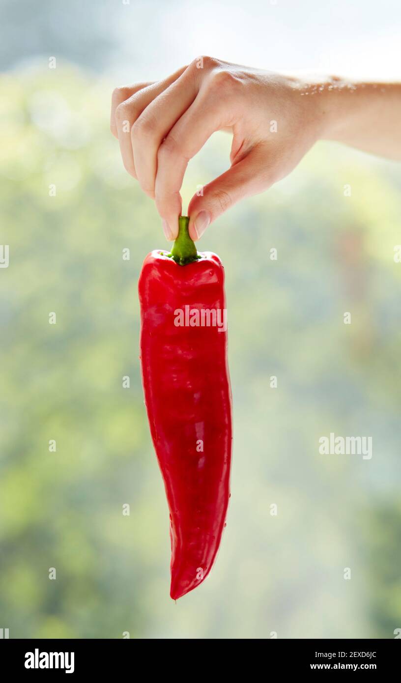 Woman holding a red Chilli pepper Stock Photo