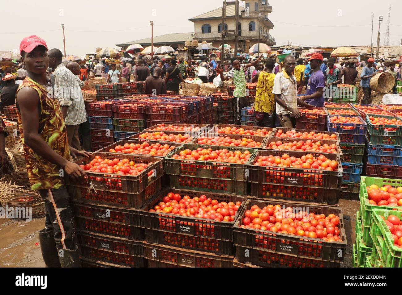 Baskets of Tomatoes are arranged for sale at the Lagos food market in
