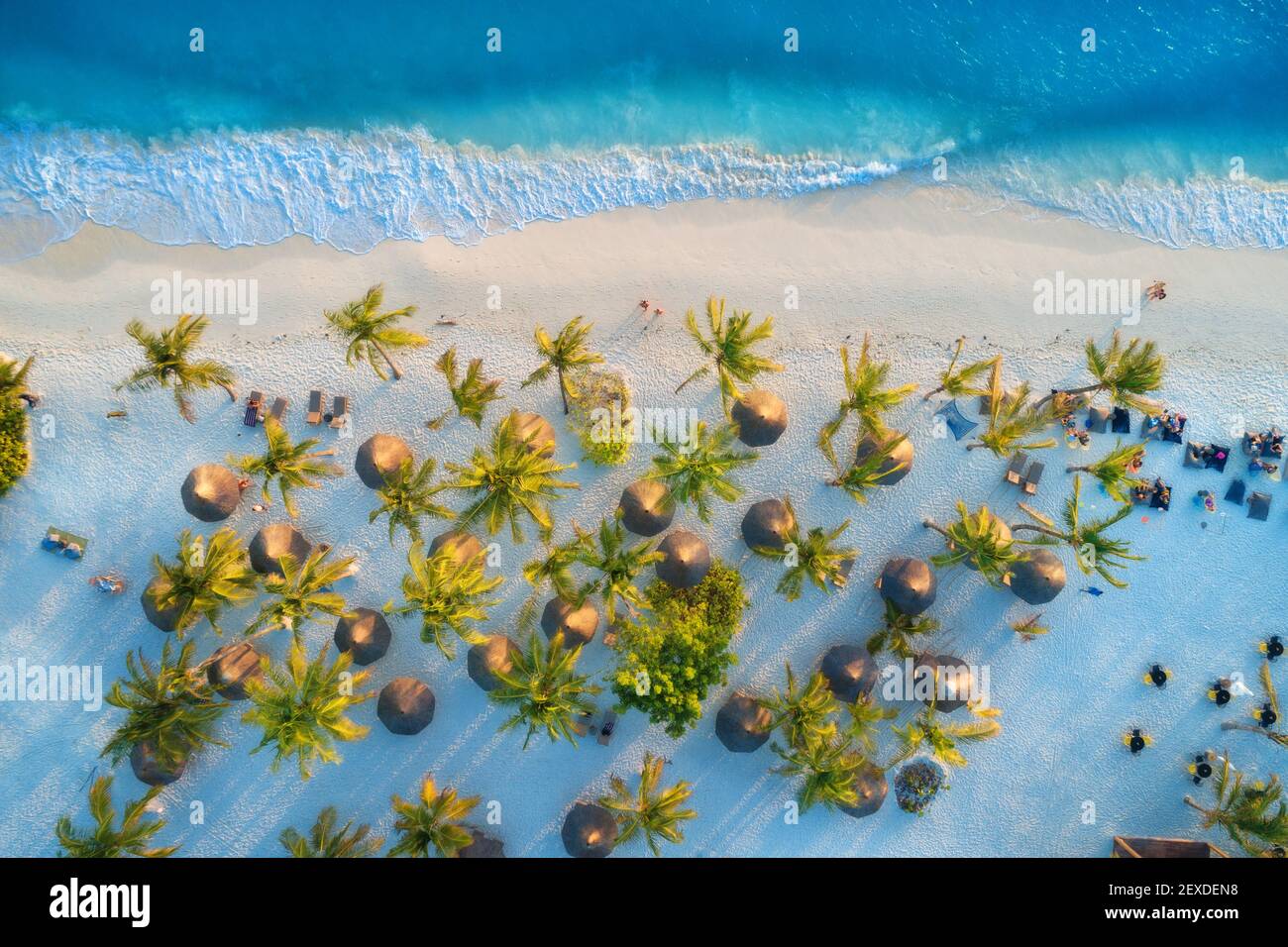 Aerial view of umbrellas, palms on the sandy beach Stock Photo