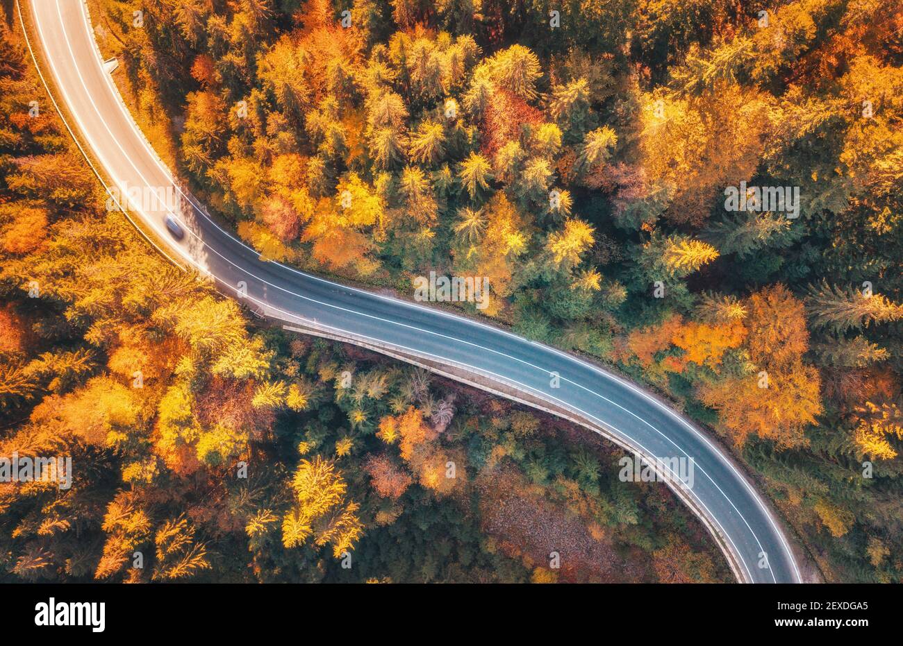 Aerial view of mountain road in beautiful forest at sunset Stock Photo ...