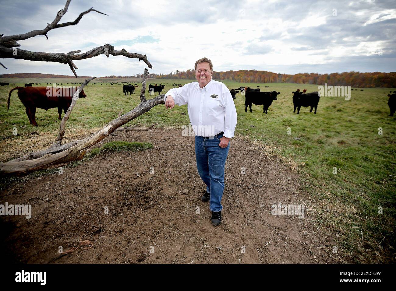 Jack Link stands in a field of his cattle, where he first started his