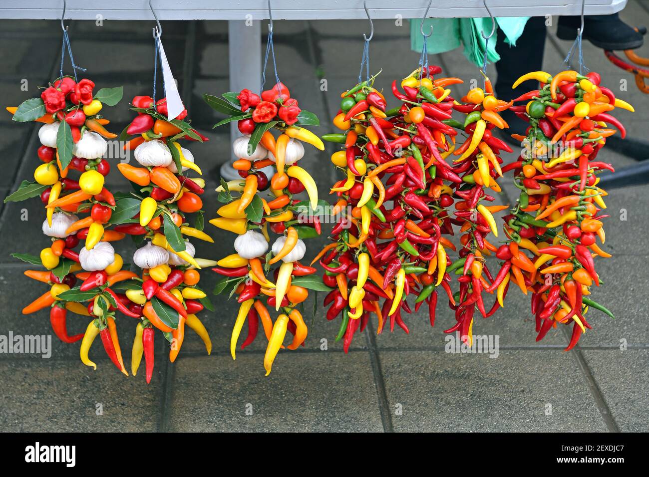 String Peppers Colorful Hot Chili Peppers and Garlic Hanging at Strings Stock Photo ...