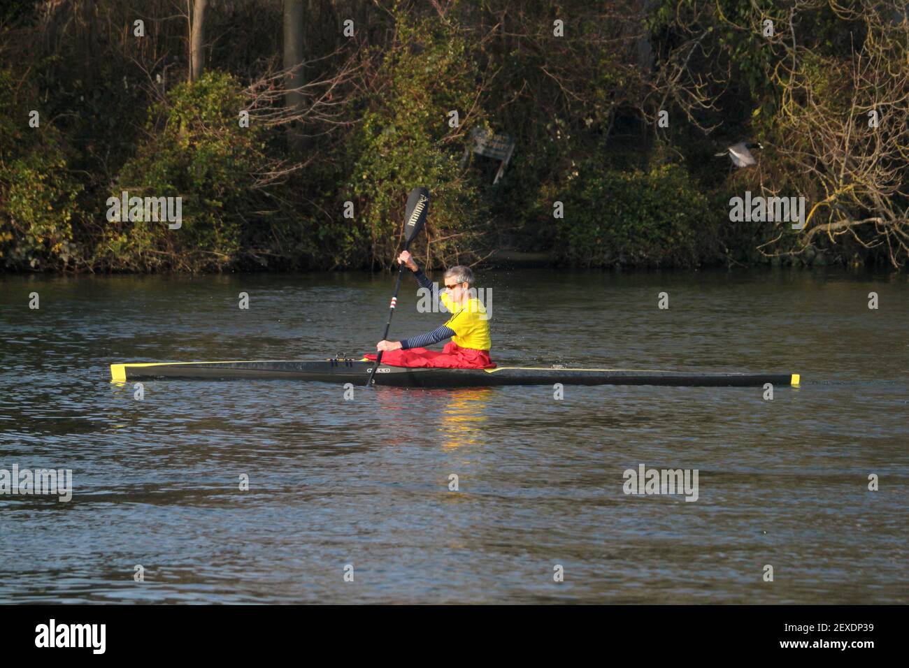 Canoeing on the River Thames, Sadlers Ride, Hurst Park, East Molesey, Surrey, England, Great Britain, UK, Europe Stock Photo
