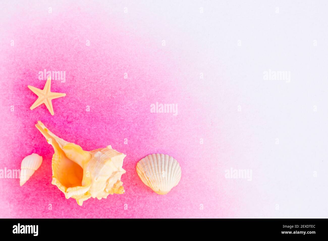 sea shells and starfish background Stock Photo