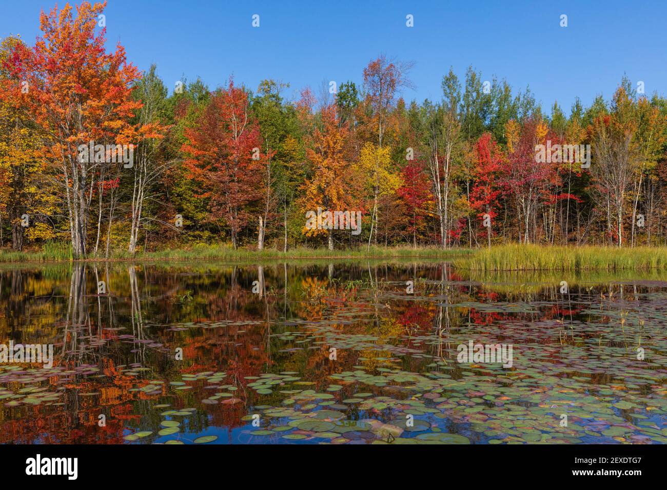 Wisconsins fall colors hi-res stock photography and images - Alamy