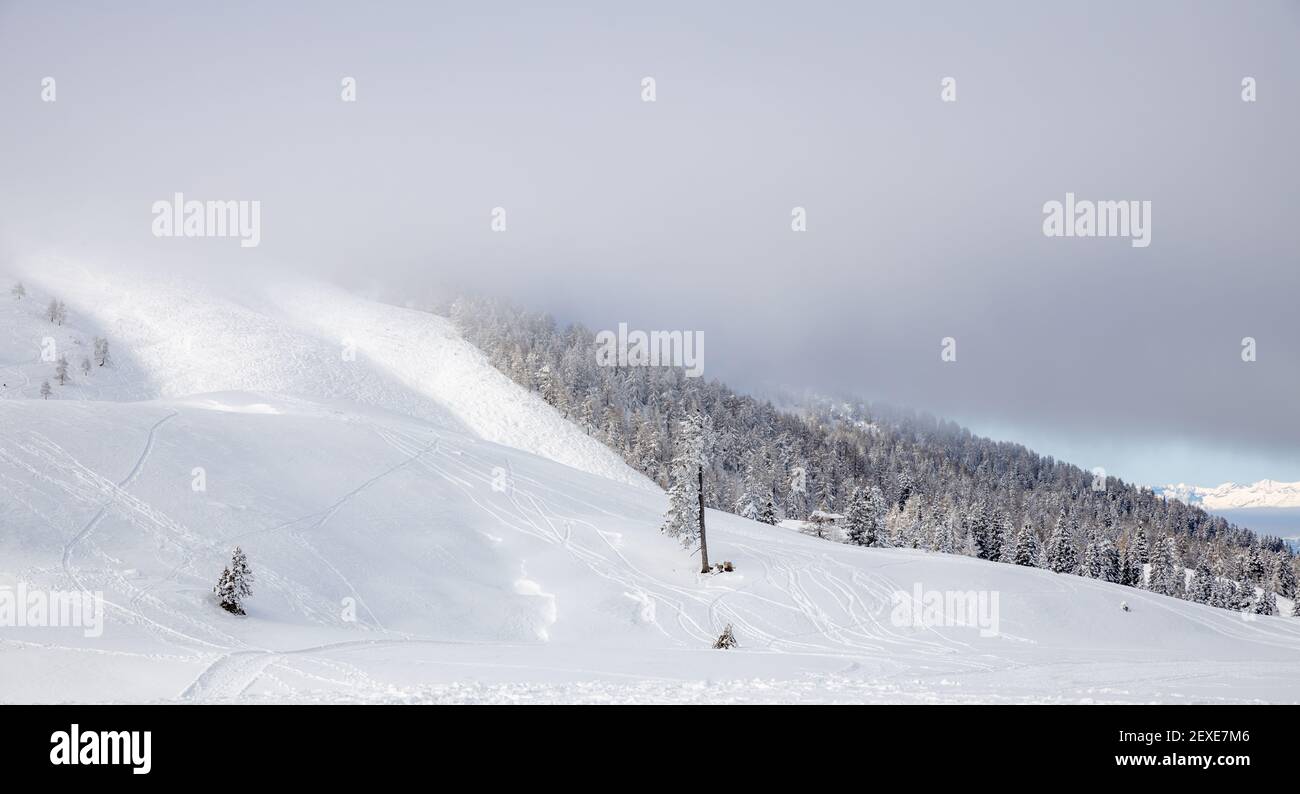 Panoramic view of snow-covered, winter Austrian Alps and the trees on the mountain Dobratsch Stock Photo