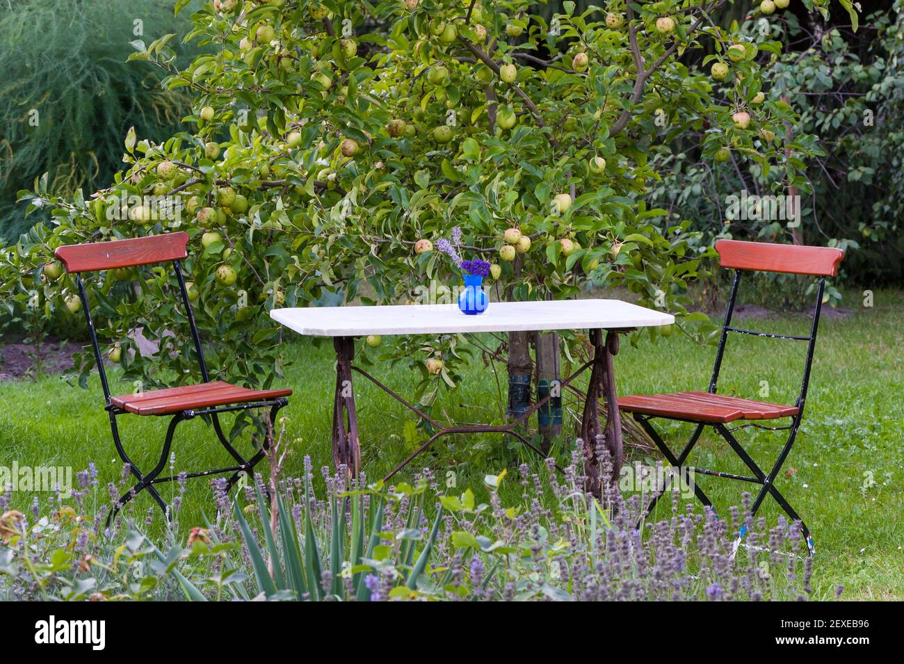 Garden table and chairs Stock Photo Alamy
