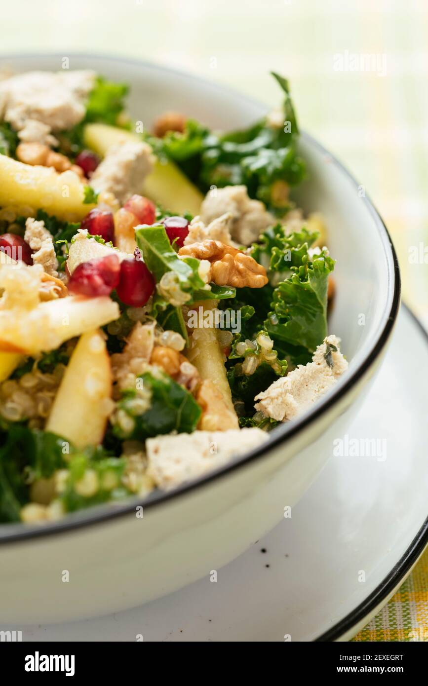 Kale Salad with Quinoa, Apples, Walnuts and Pomegranates and home made vegan feta. Stock Photo