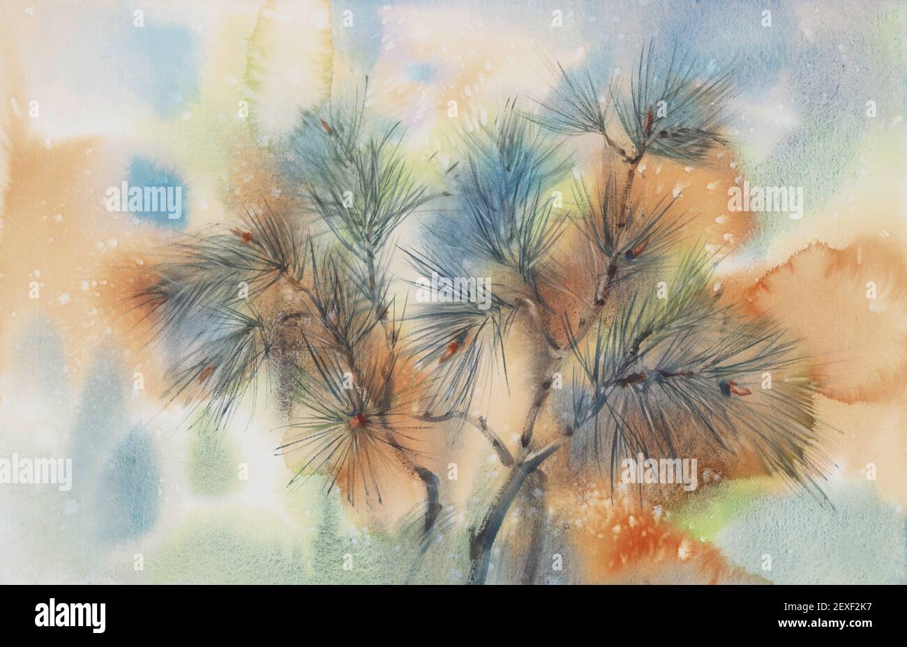 Pine Branch Watercolor Images – Browse 44,335 Stock Photos, Vectors, and  Video