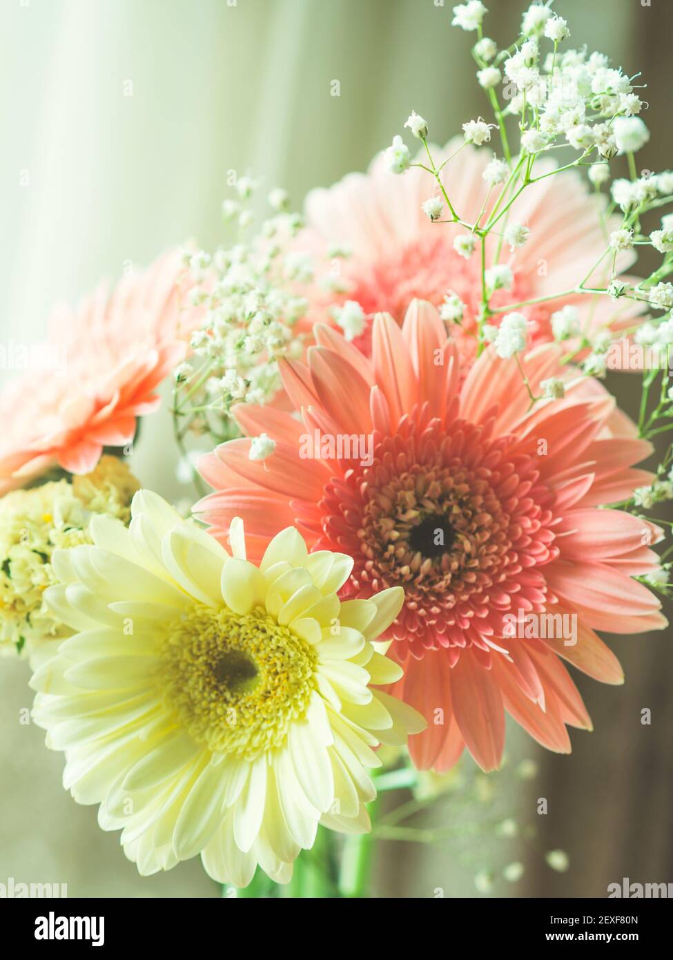 Pink gerbera daisy bouquet near a window Stock Photo Alamy