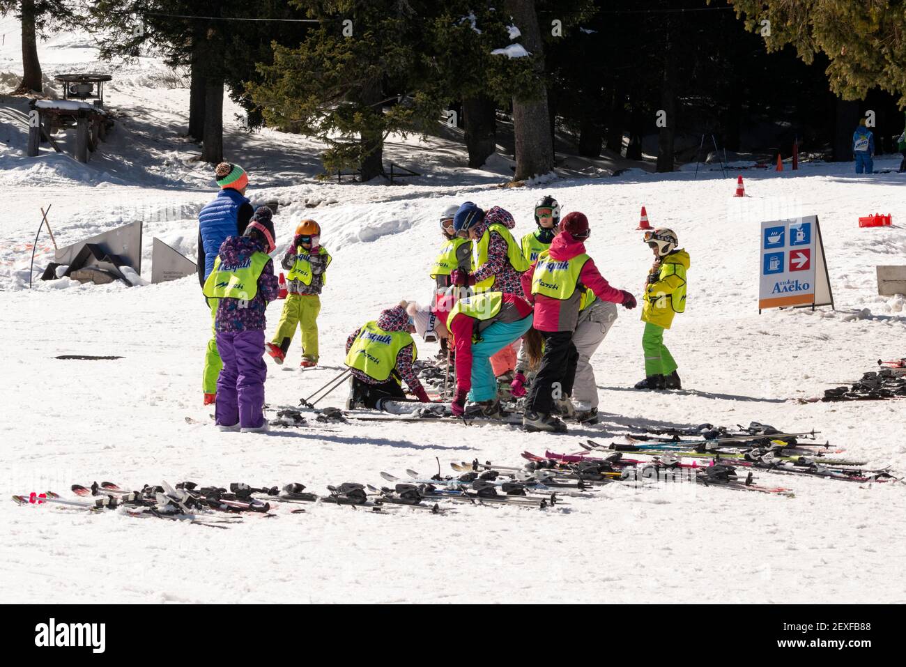 Sofia Bulgaria group of children attending ski school learning to ski in Vitosha Mountain near the Bulgarian capital in Eastern Europe, EU as of 2021 Stock Photo