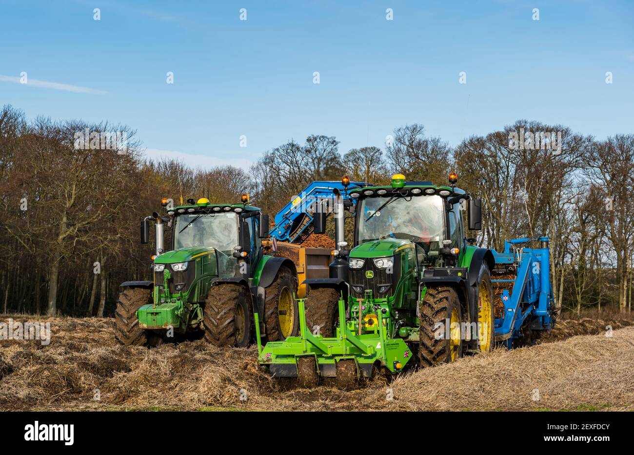Carrot farm hires stock photography and images Alamy
