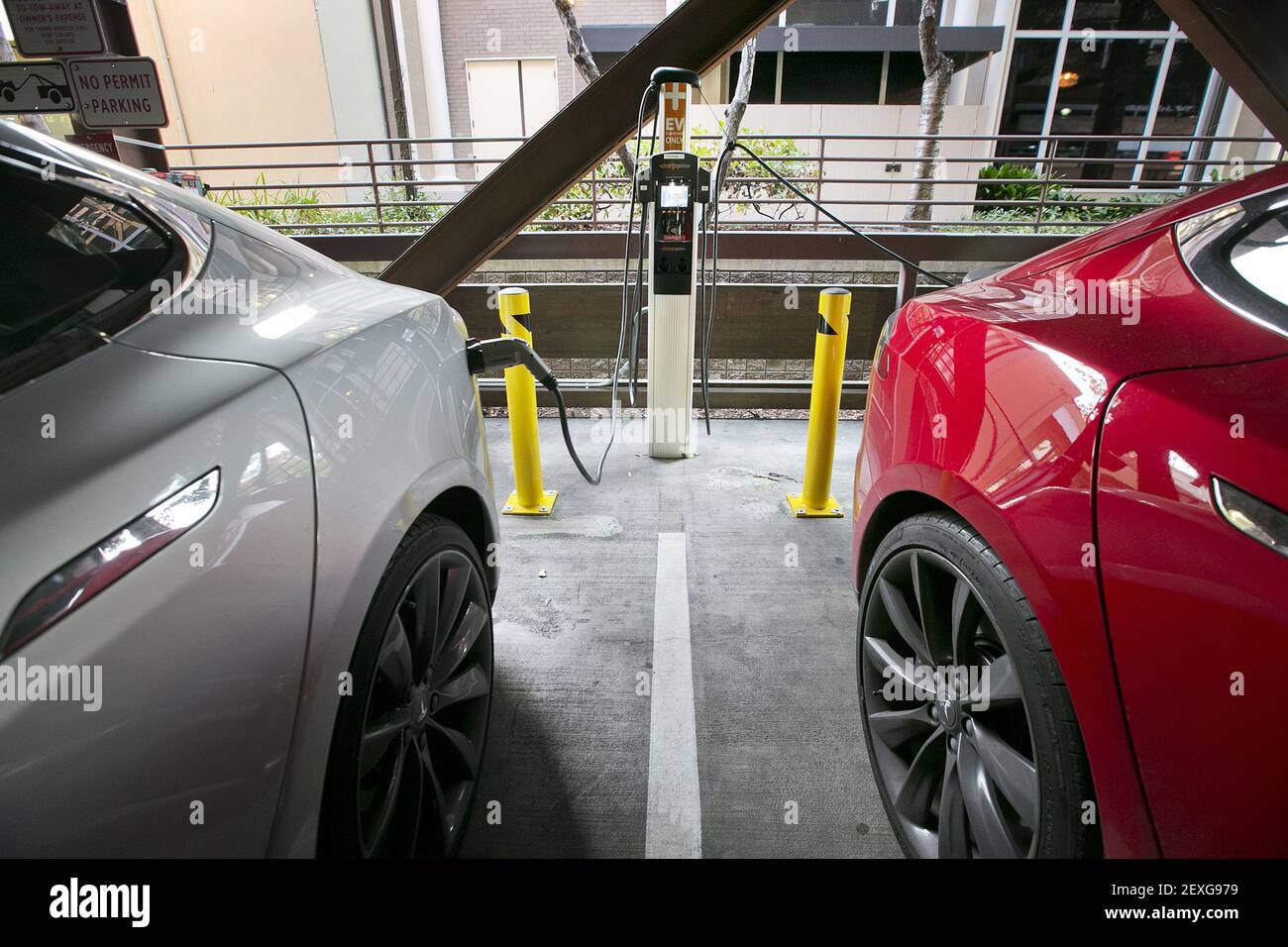 Two Tesla EVs charge at the City of Palo Alto EV charging station in a