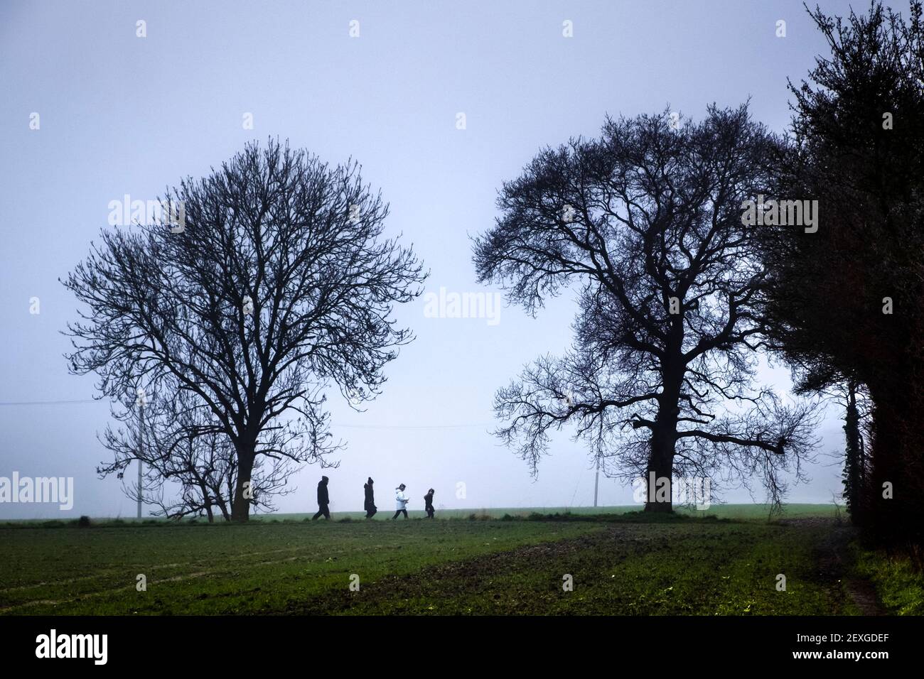 A family walk on a dull winter's day in the country, Suffolk, UK. Stock Photo