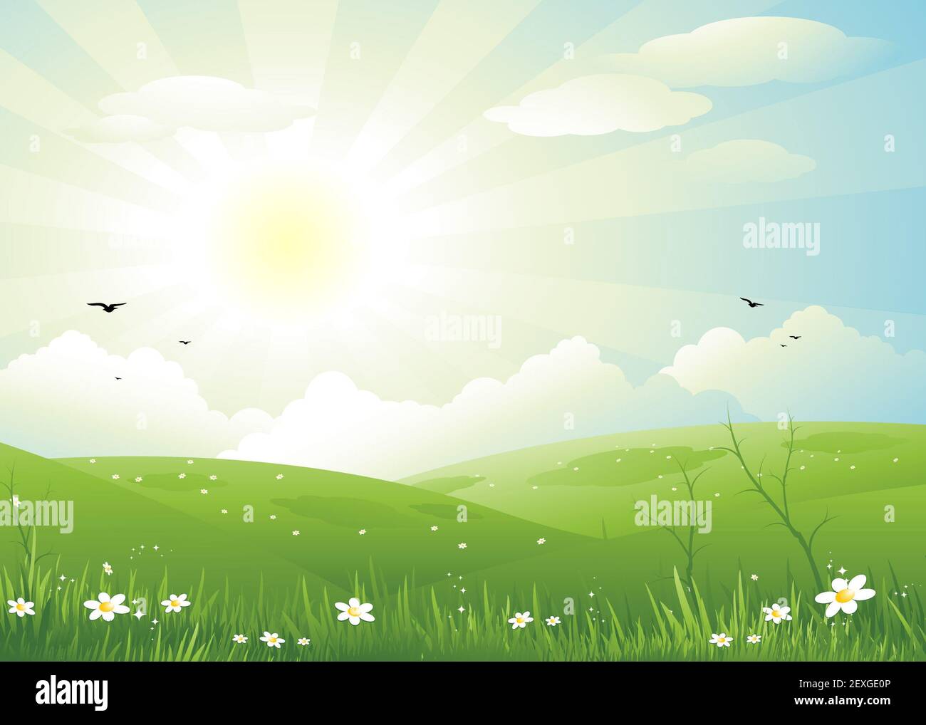 Sunray vector hi-res stock photography and images - Alamy