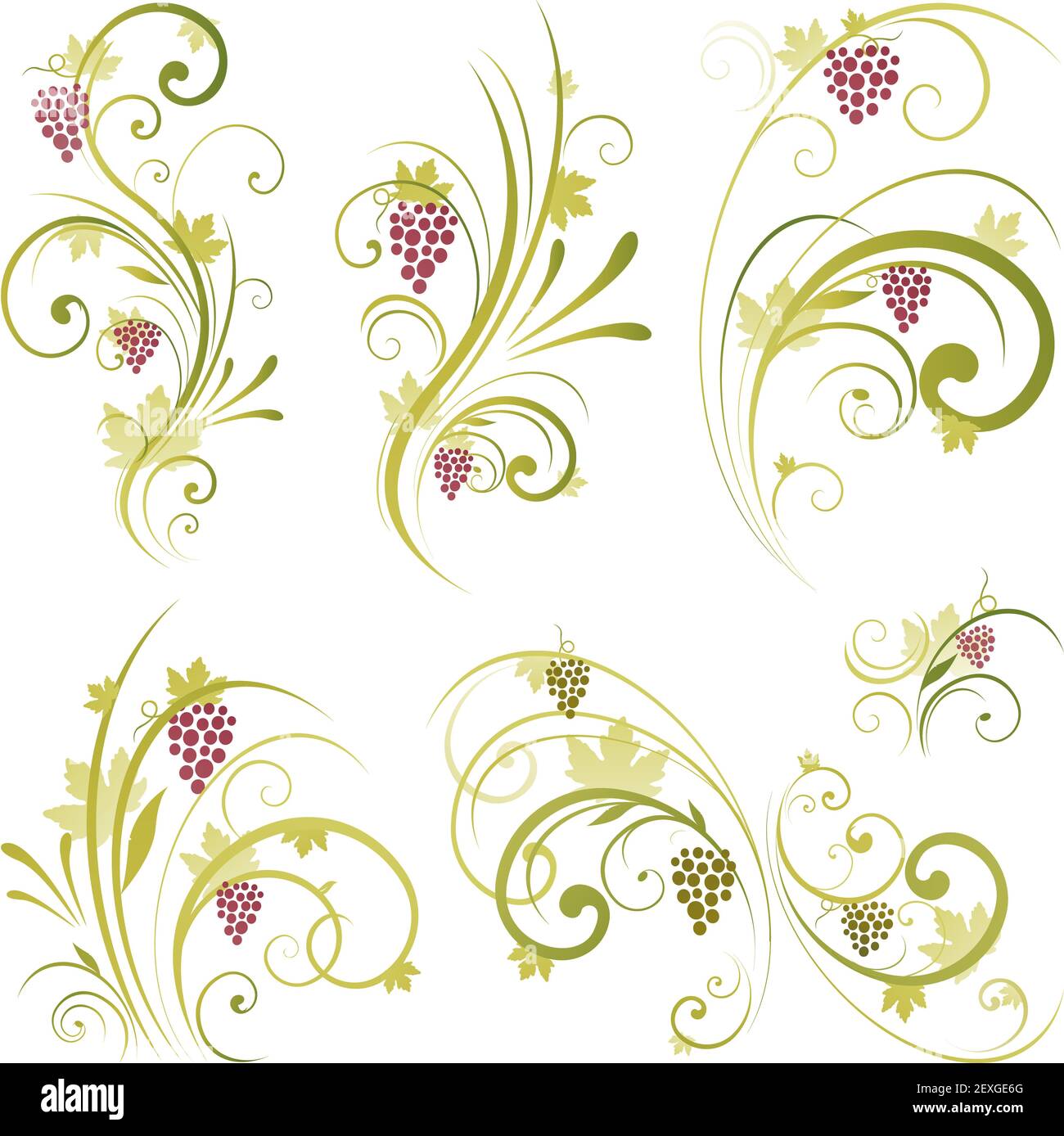 Wine design ornament Stock Photo