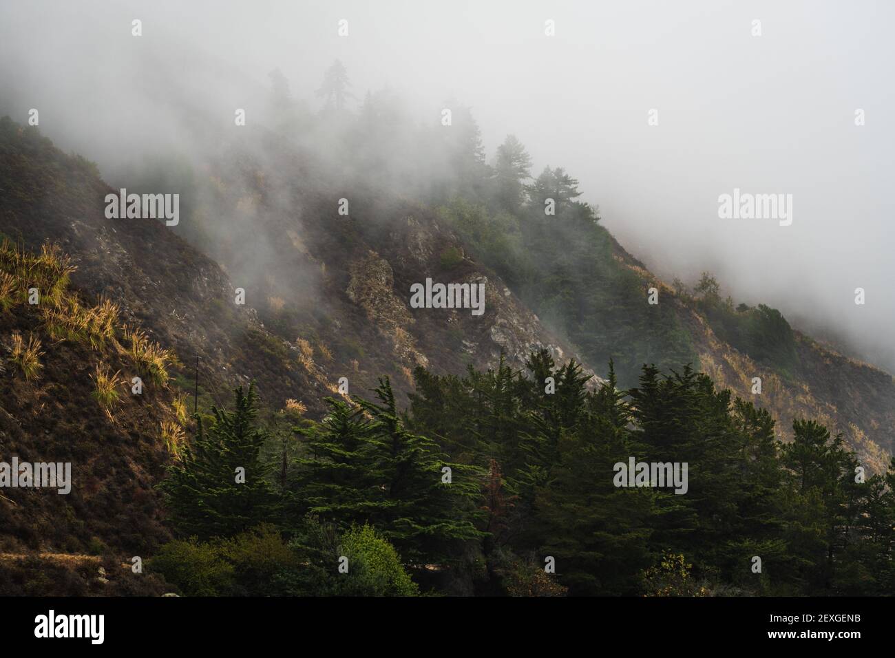 A breathtaking view of the tree-covered mountains captured on a foggy ...