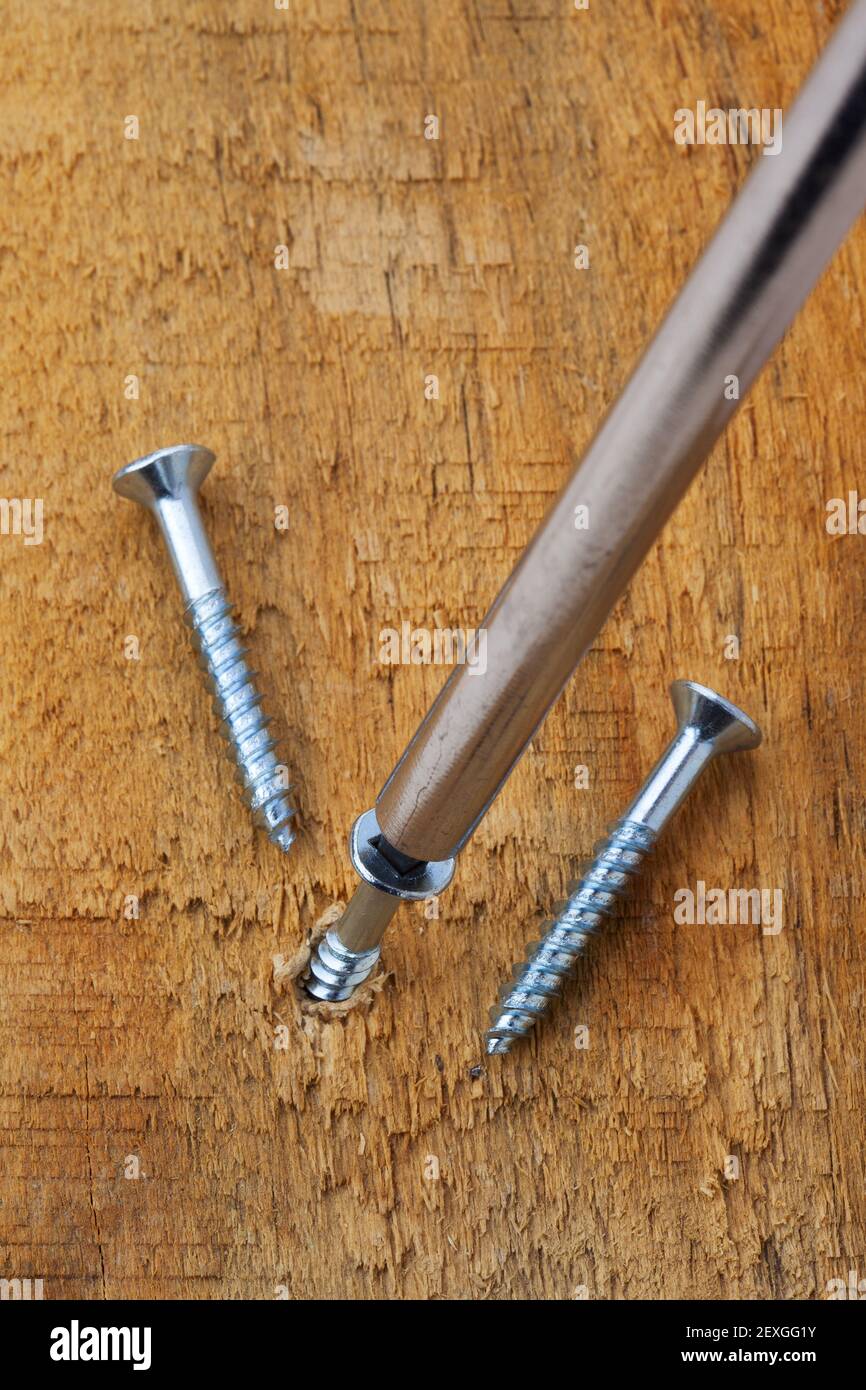 Screwing a screw into wood Stock Photo Alamy