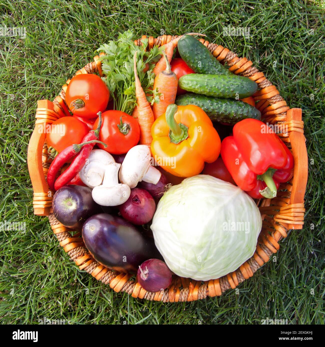 Fresh vegetable (cabbage Stock Photo
