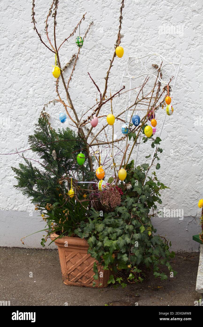 eastern egg decoration. painted eastereggs hanging on branch Stock Photo