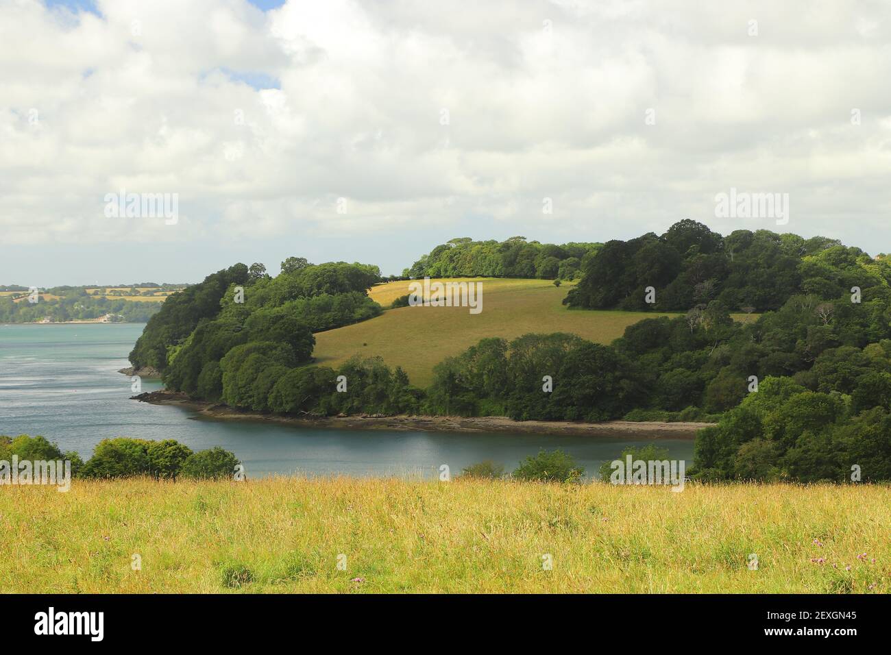 View over the river Fal from the meadows of Trelissick gardens Stock Photo