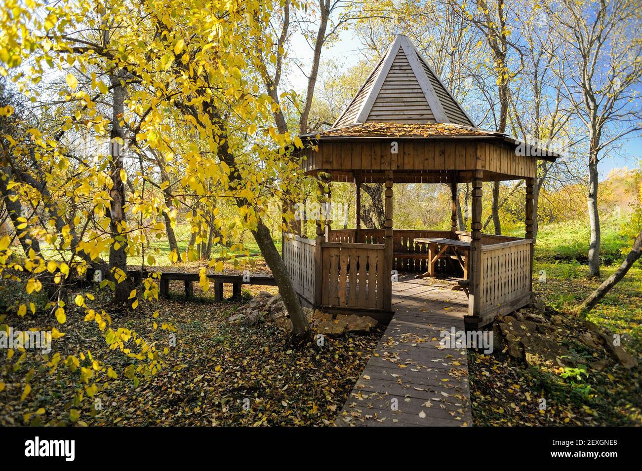 Rustic wooden gazebo or pavillion with autumn yellow trees in sunny day ...