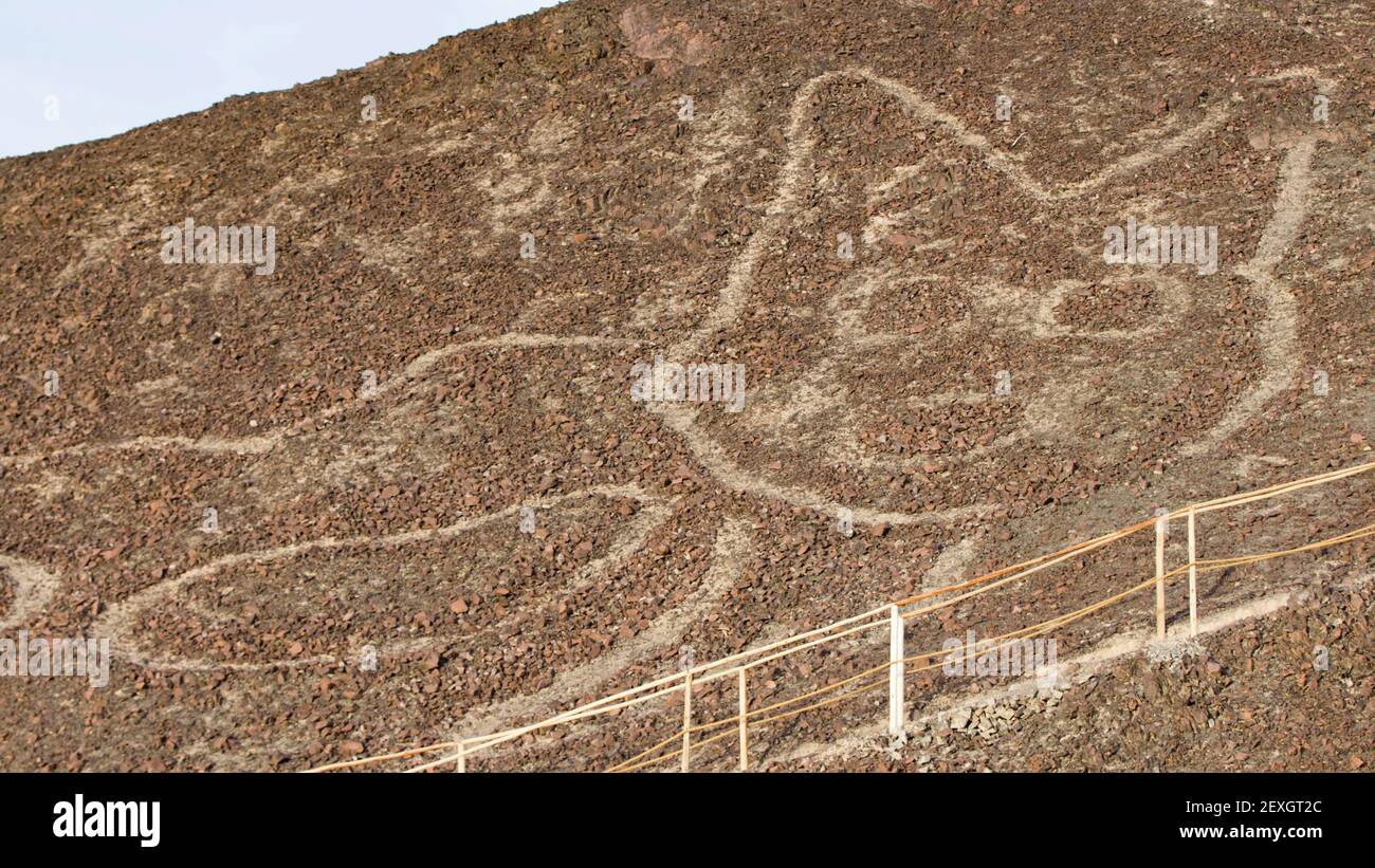Nazca lines cat hi-res stock photography and images - Alamy