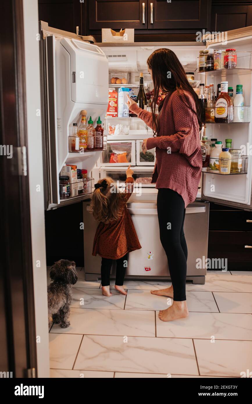 Toddler points to what she wants from family fridge in the kitchen
