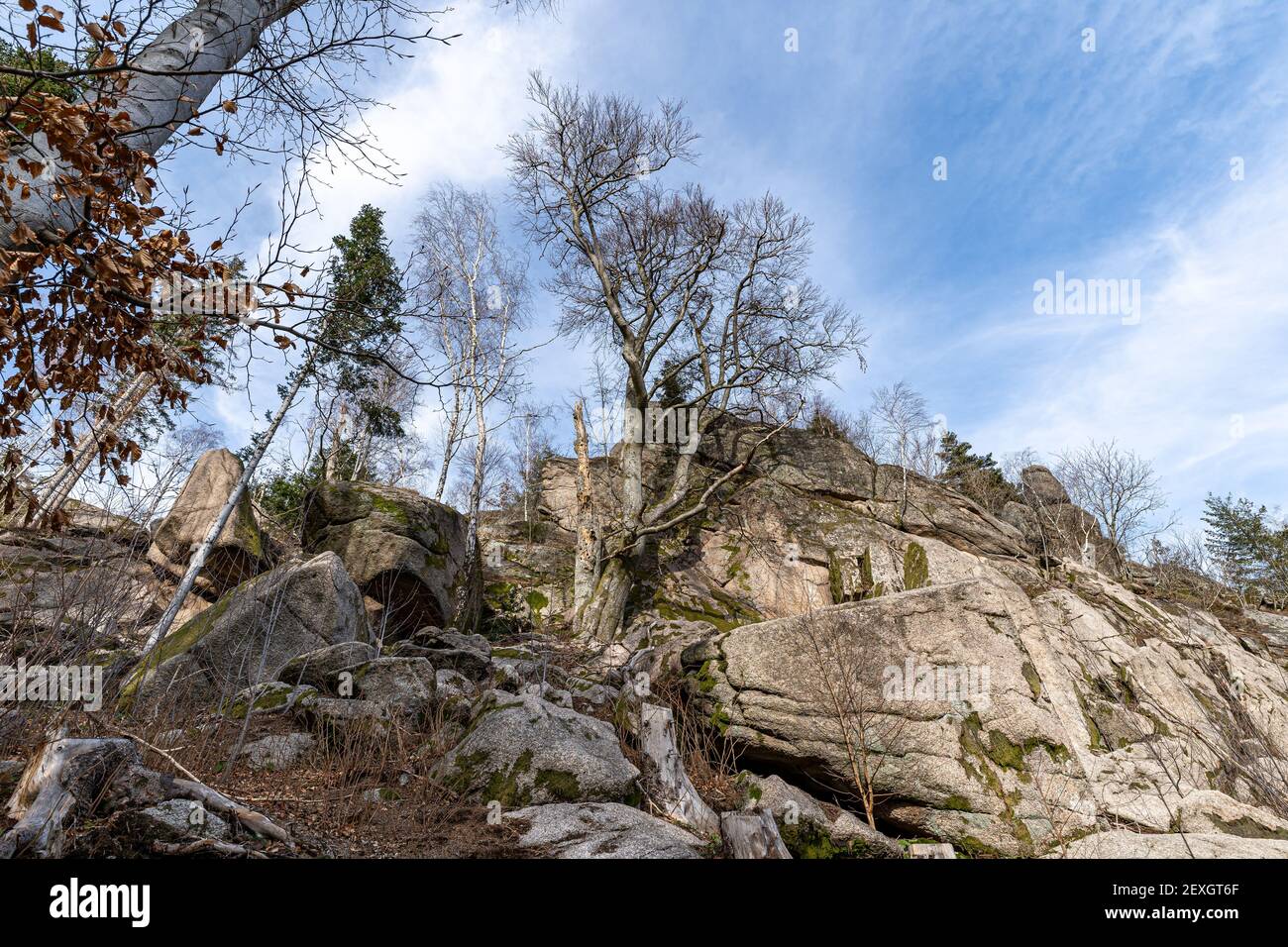 A low angle shot of trees and rock formations on a mountain hillside ...