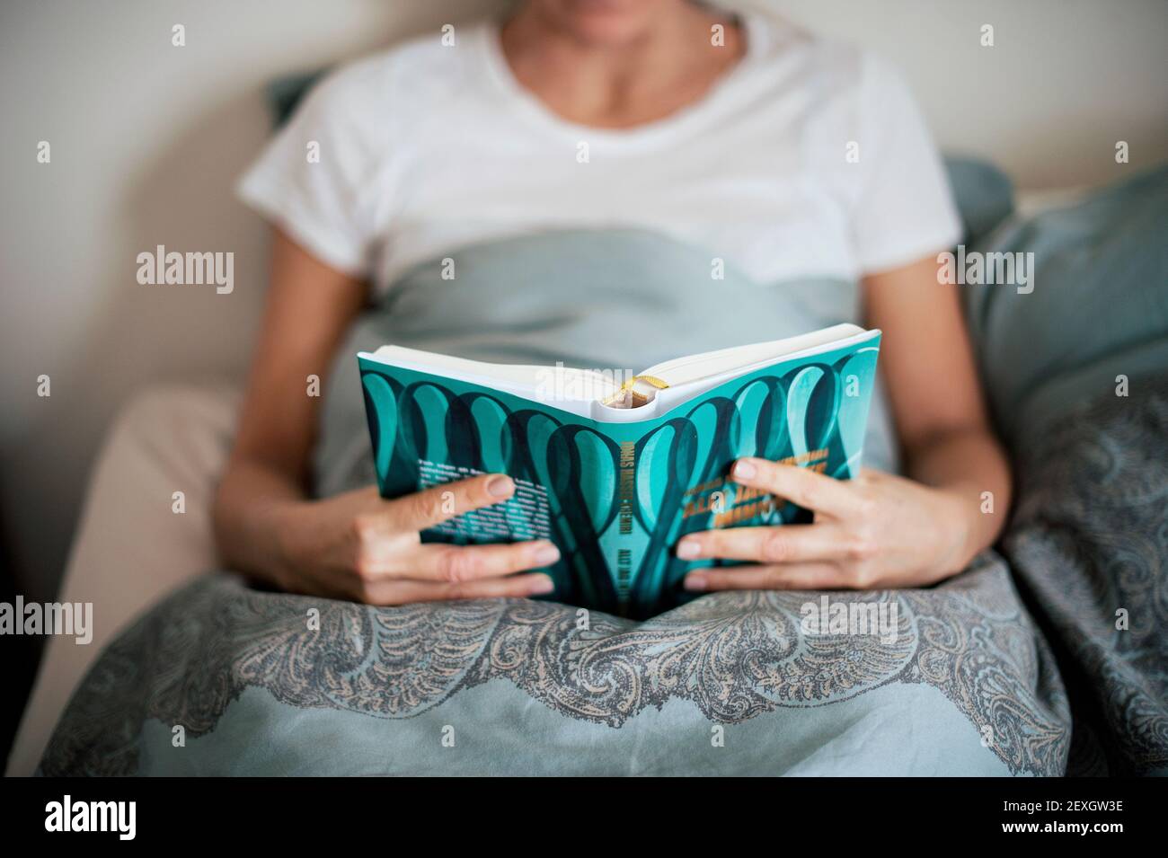 30s young adult caucasian woman holding a book reading in bed. Indoor weekend lifestyle, home lounging concept Stock Photo