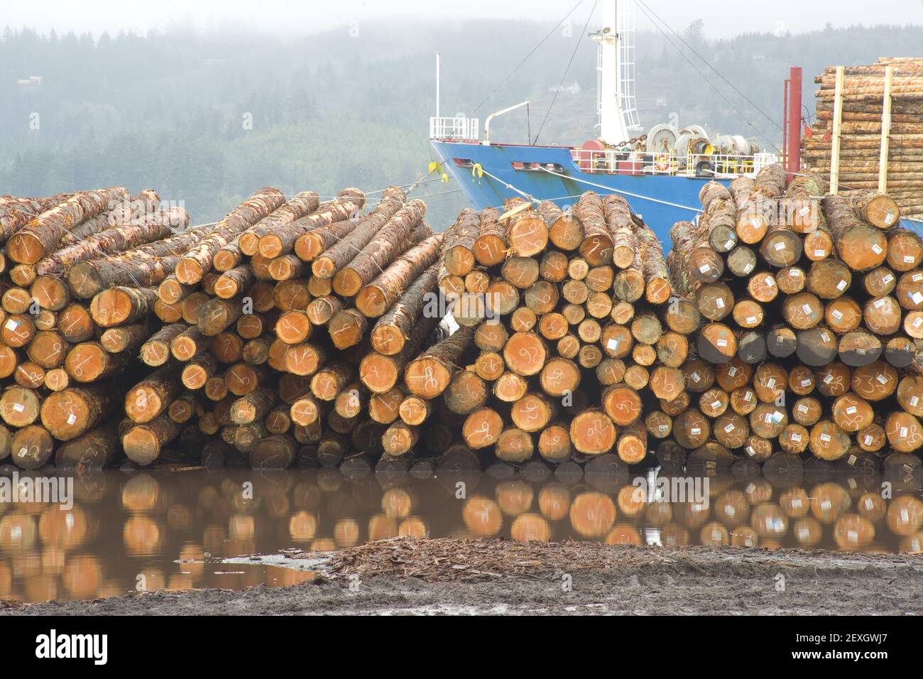 Logging Shipyard Wood Log Shipping Company Stock Photo Alamy