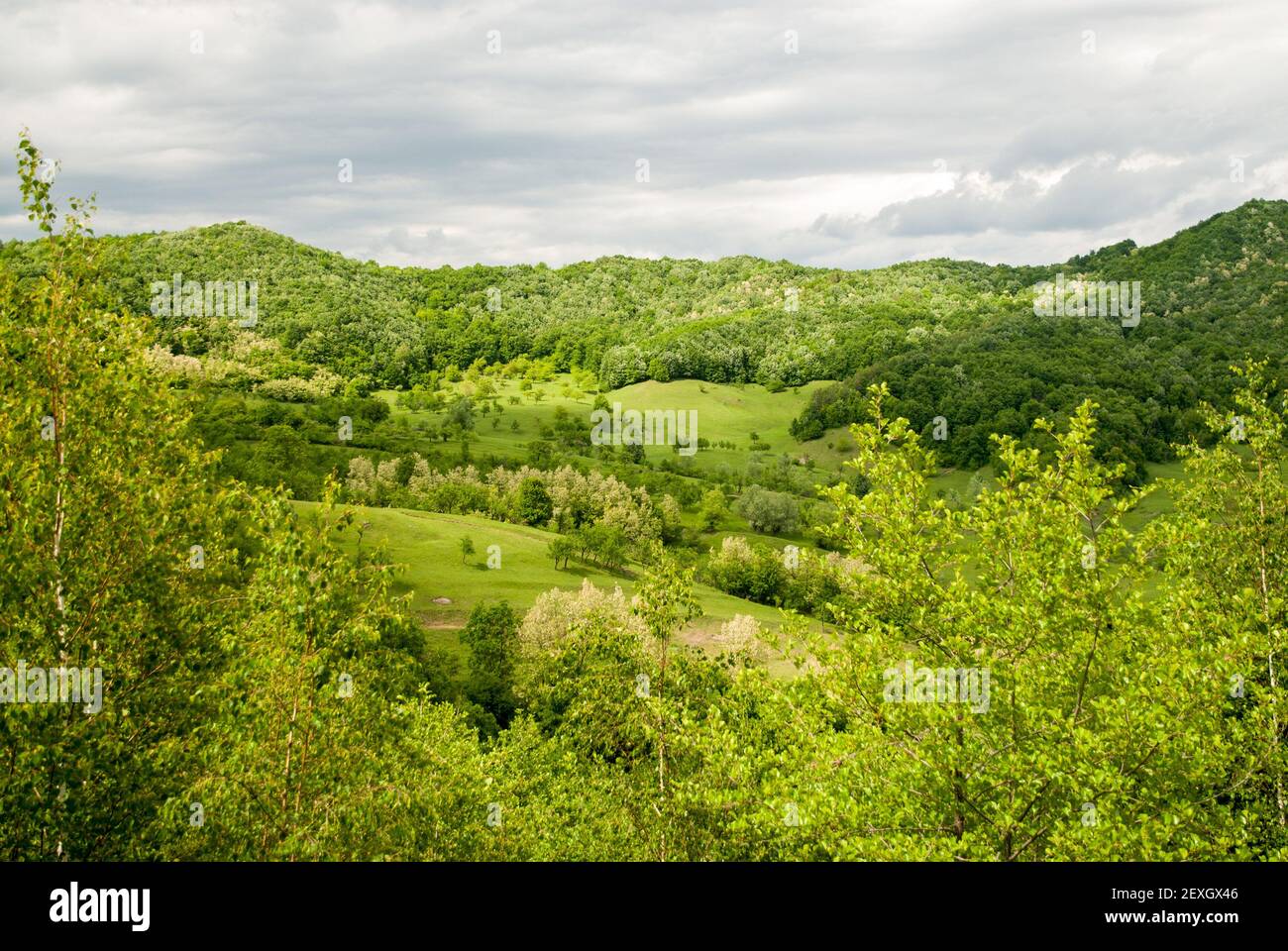 A landscape of trees and greenery under a cloudy sky Stock Photo - Alamy