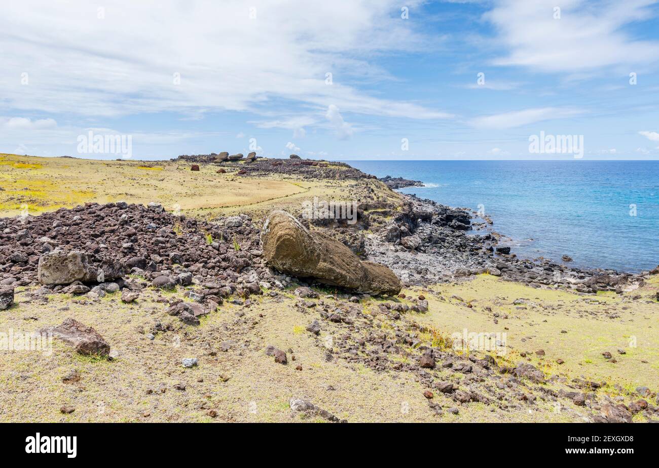 Fallen toppled moai (statues) laying face down at Ahu Akahanga on the