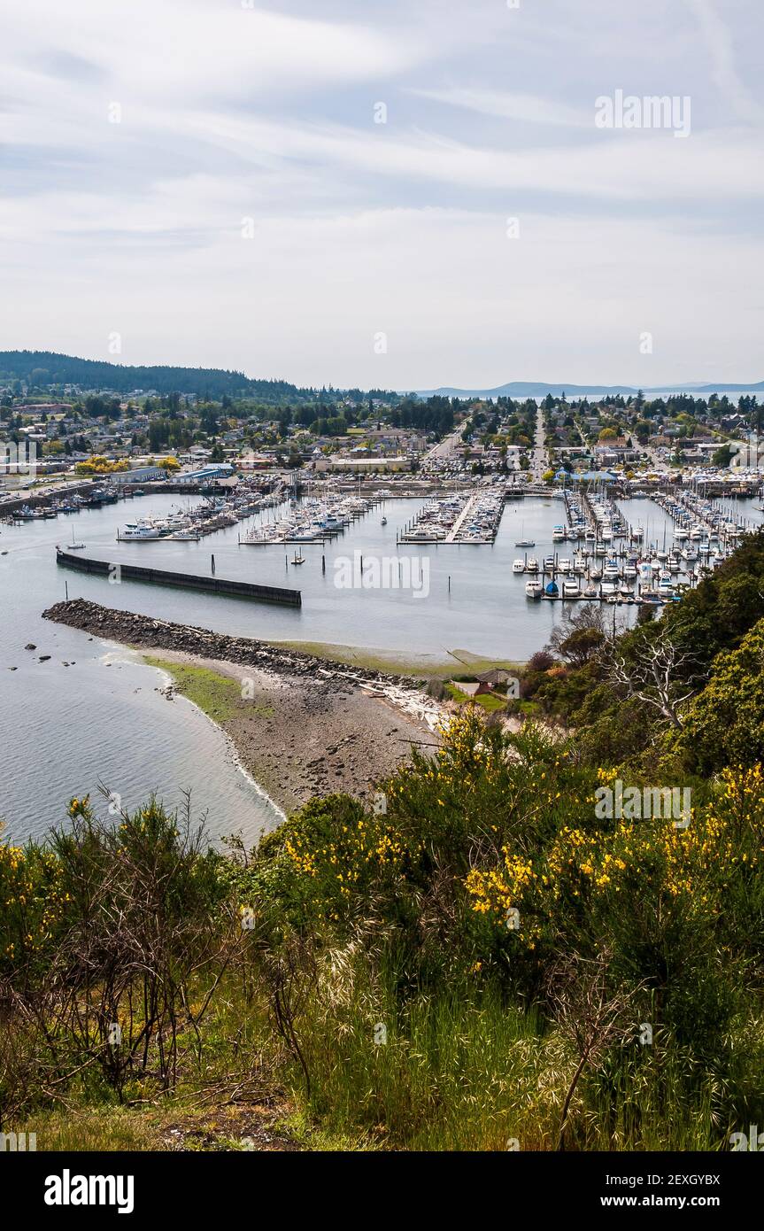 View of the marina area at the Port of Anacortes from Cap Sante Park in  Anacortes, Washington Stock Photo - Alamy