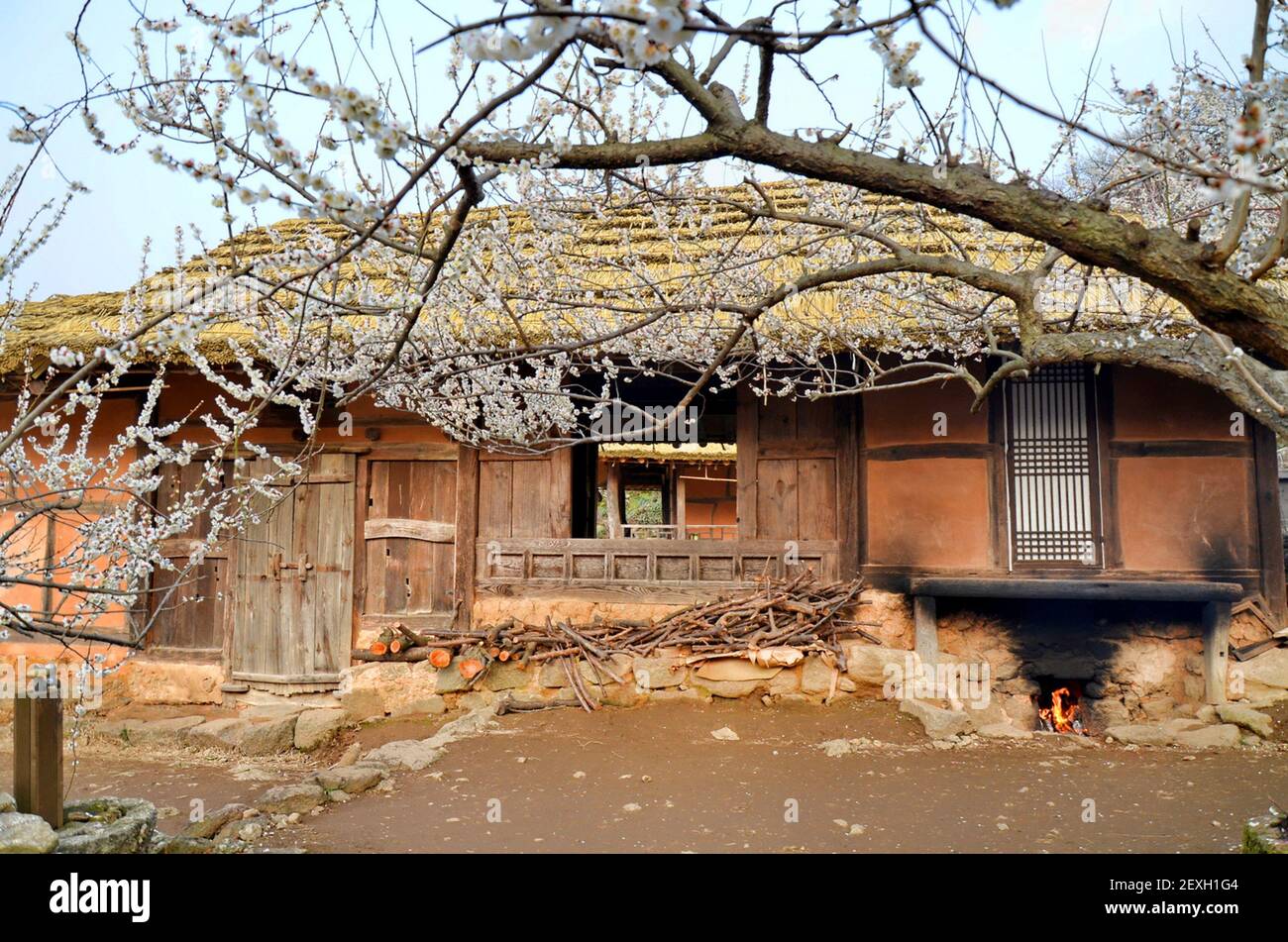 Traditional korean house (hanok) in Maehwa village, Gwangyang, South Korea Stock Photo