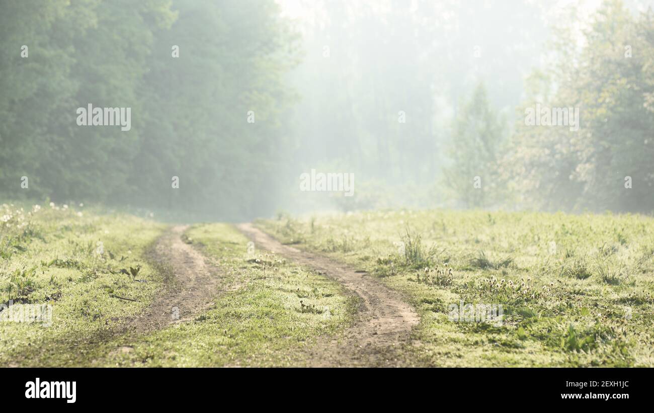 Empty country road bright hi-res stock photography and images - Alamy