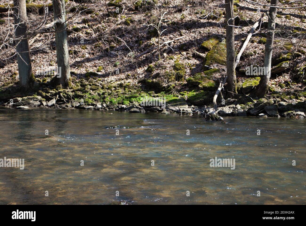 Little Miami river in the spring near yellow springs ohio Stock Photo