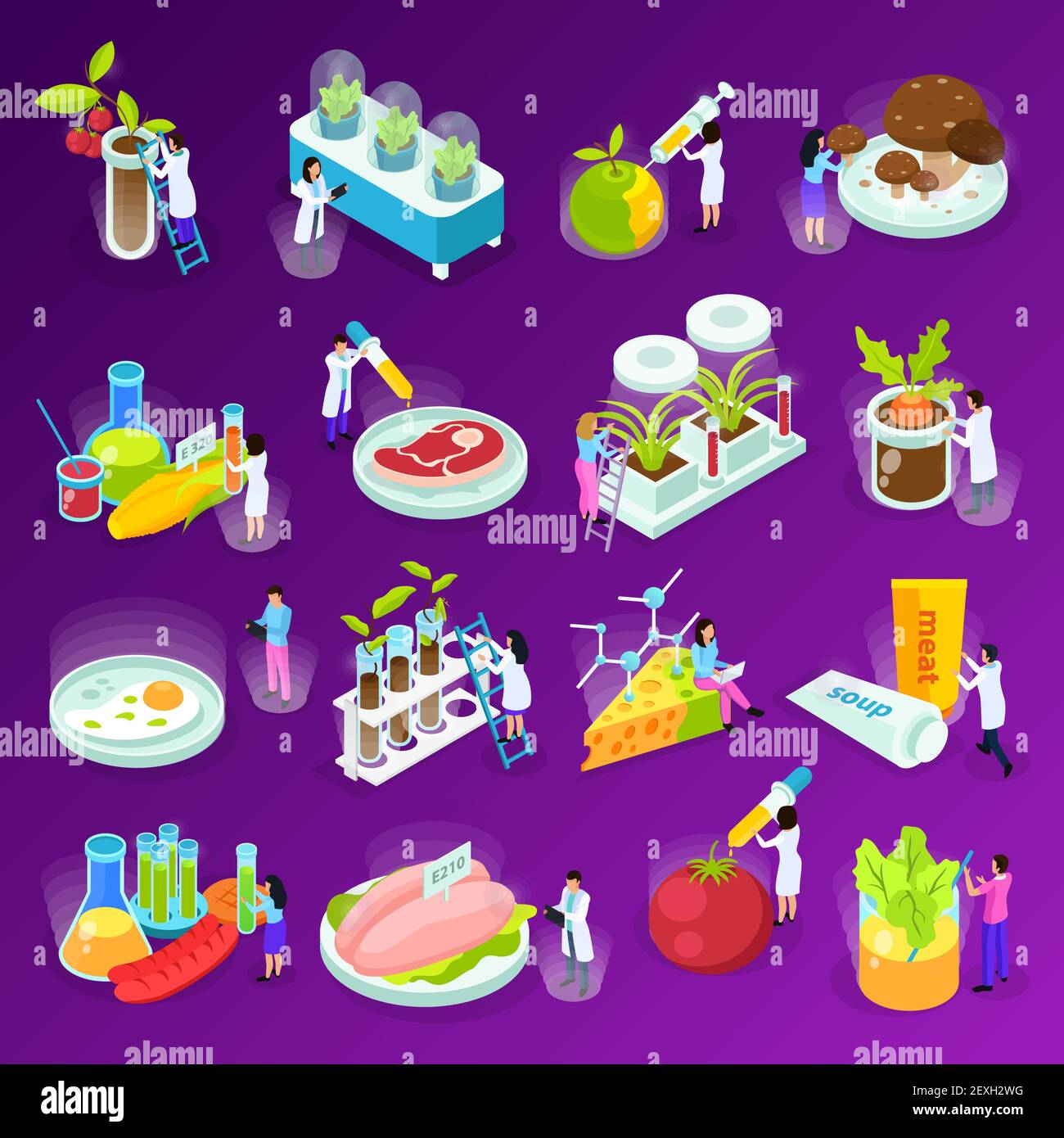 Set of isometric icons with artificial food scientists and laboratory equipment on purple background isolated vector illustration Stock Vector